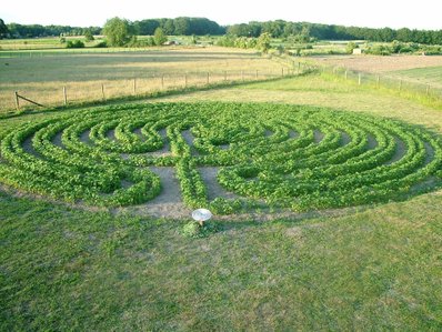 labyrinth van boekweit